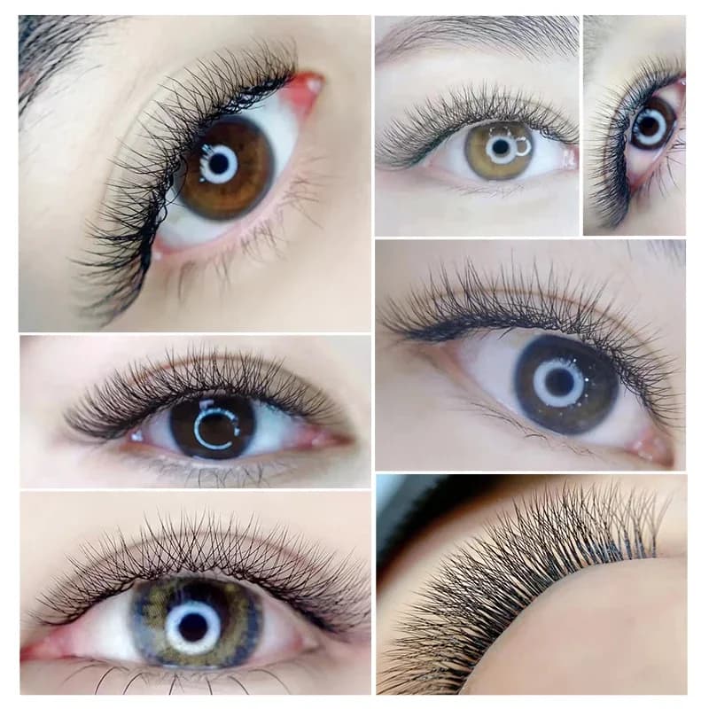 3D W Shape Premade Volume Fan Eyelash Clusters