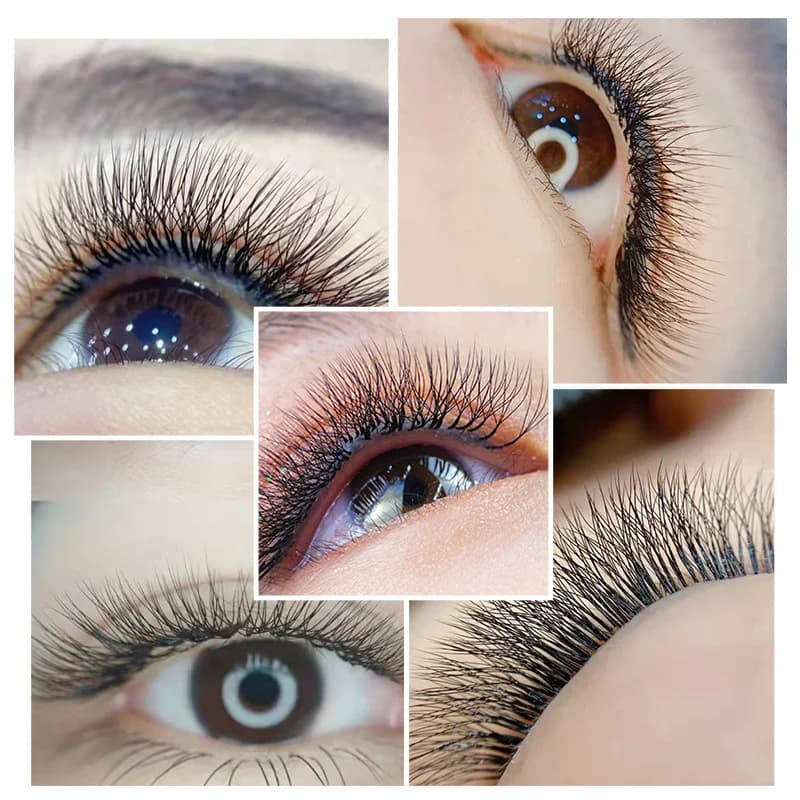 4D W Shape Flowering Premade Fan Eyelash Extensions