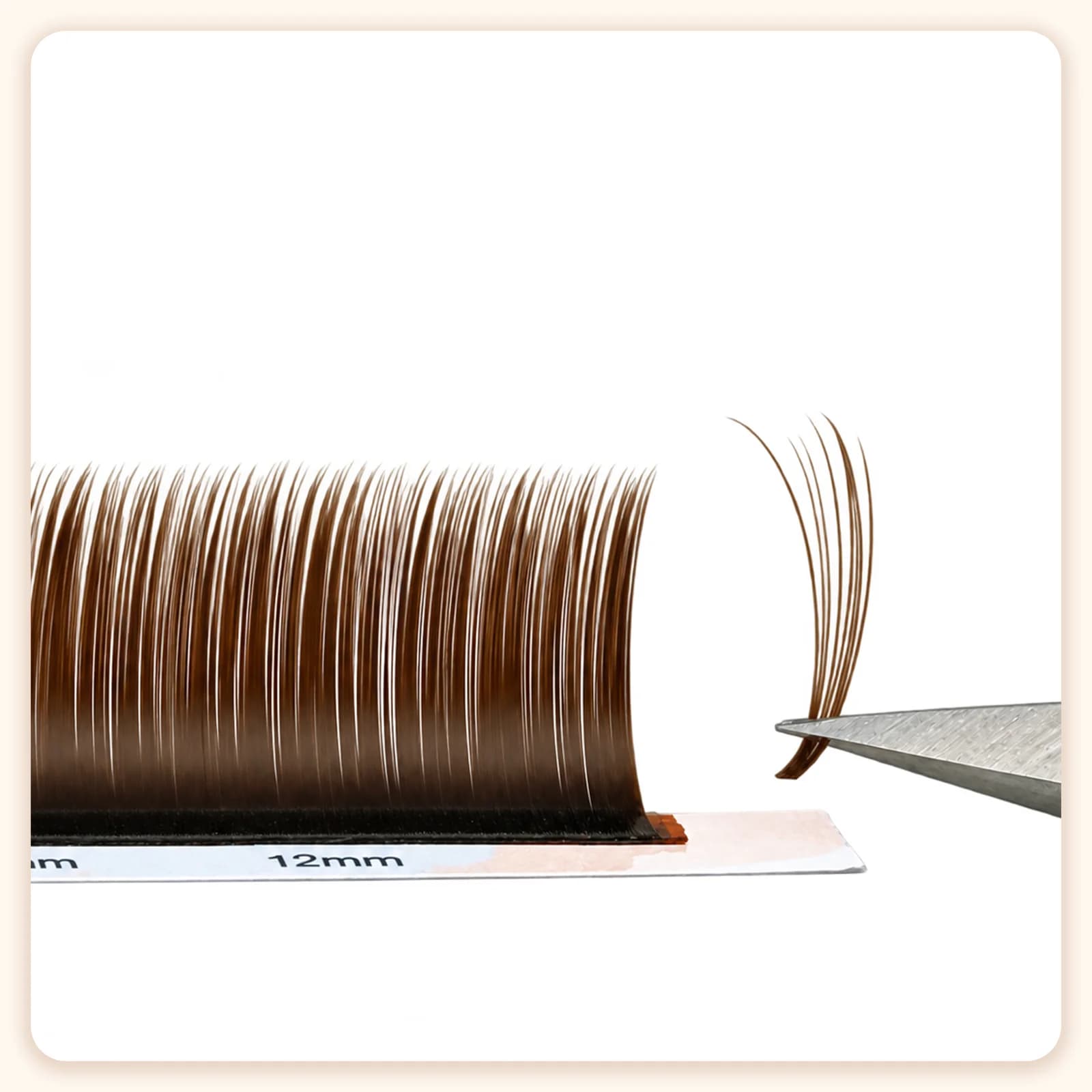Dark Brown Camellia Individual Eyelash Extensions With Adhesive