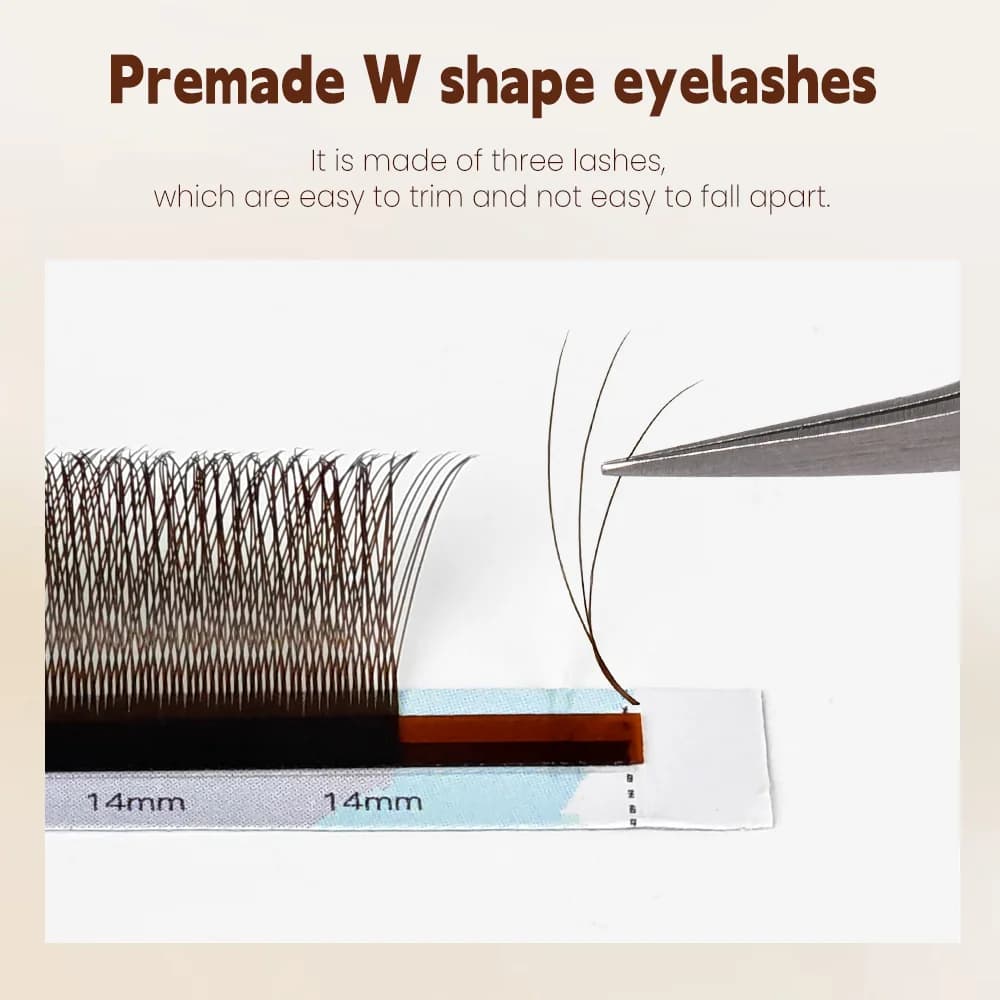 Black-Brown W Shape Premade Volume Fan Lashes