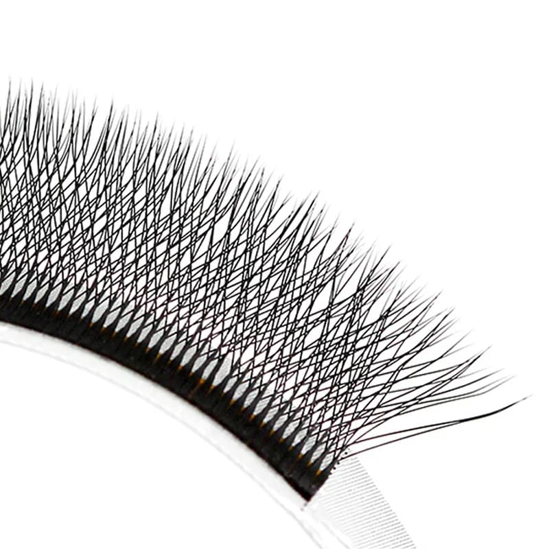 5D W Shape Mega Volume Premade Dense Fans