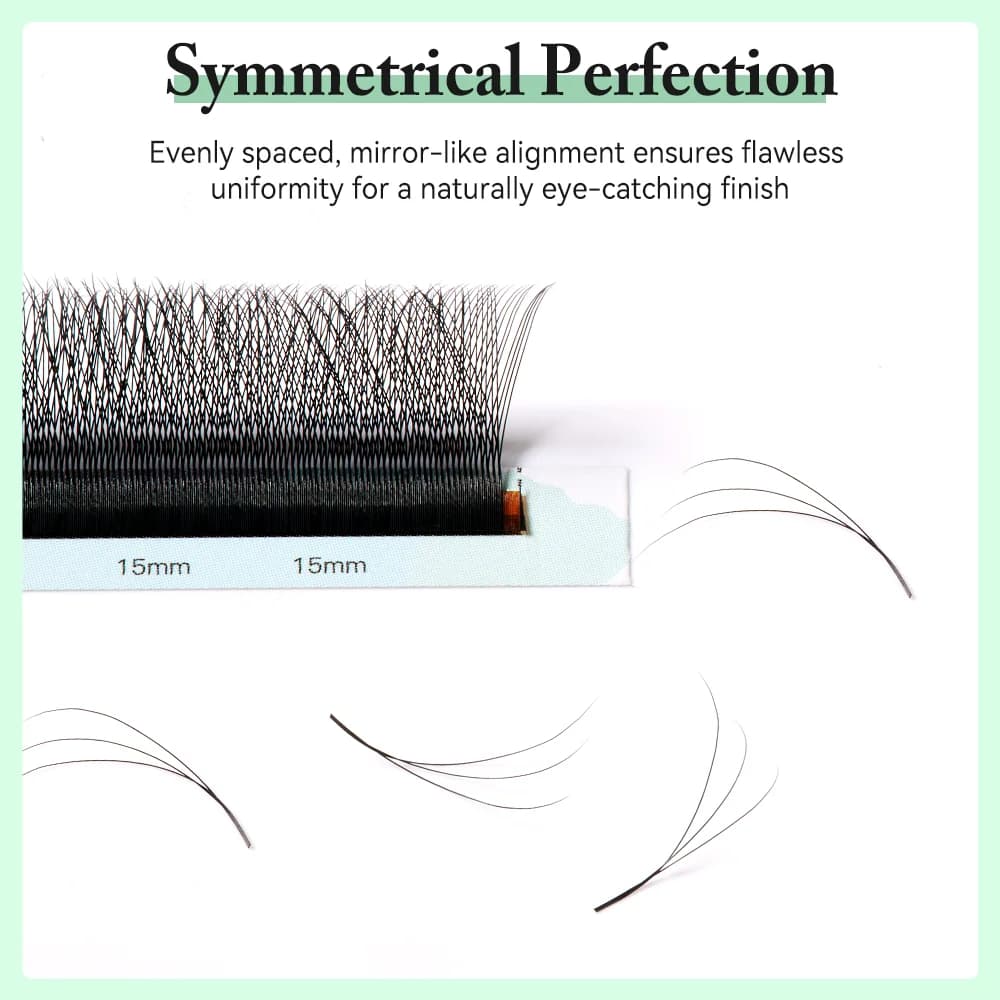 3D W Shape Smaller Spacing Premade Volume Lashes
