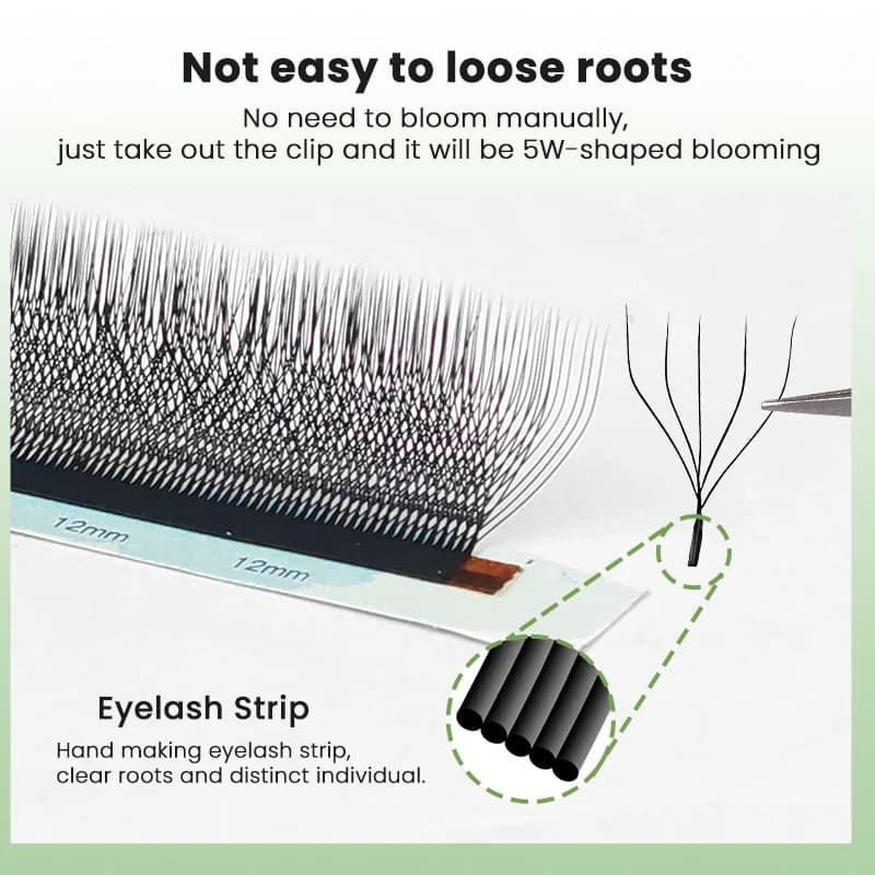 5D W-Shape Premade Volume Fan Eyelash Extensions